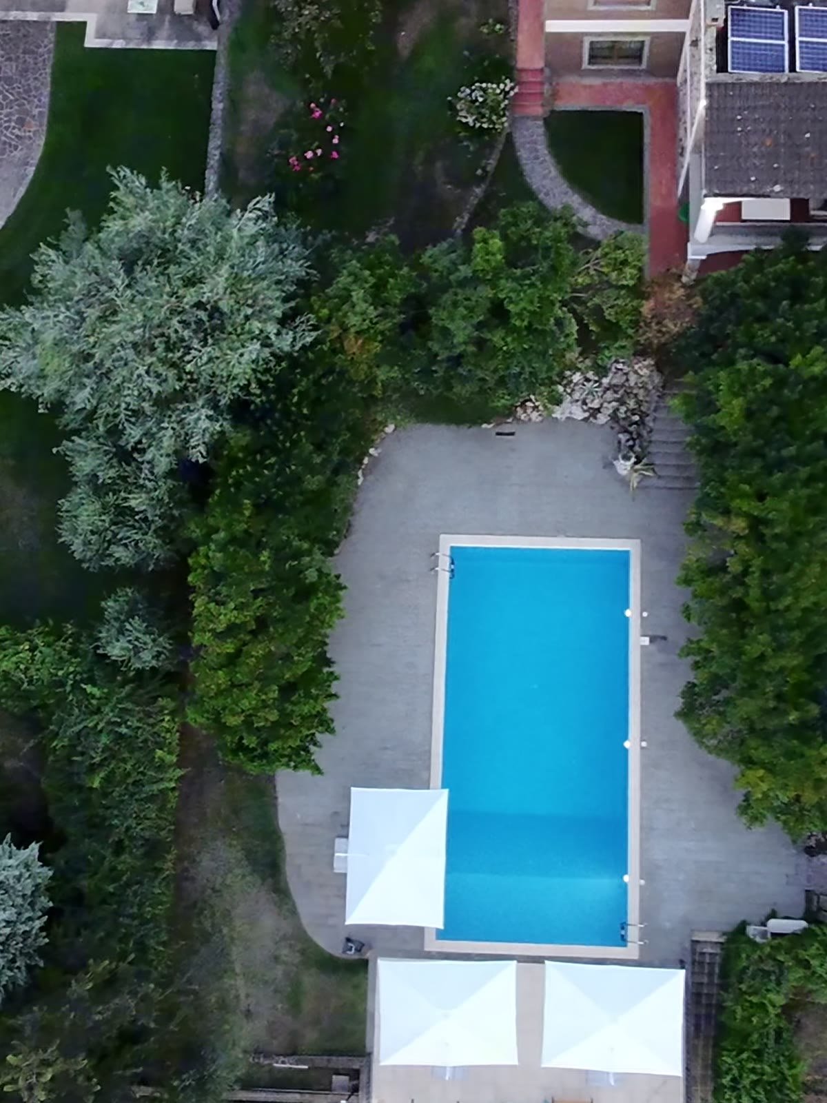 The pool seen from above